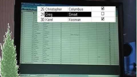 Tree Planting Accounting Software - Drop Down Menus