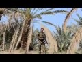 نشيد لواء البتار ابطال حشد الشعبي 