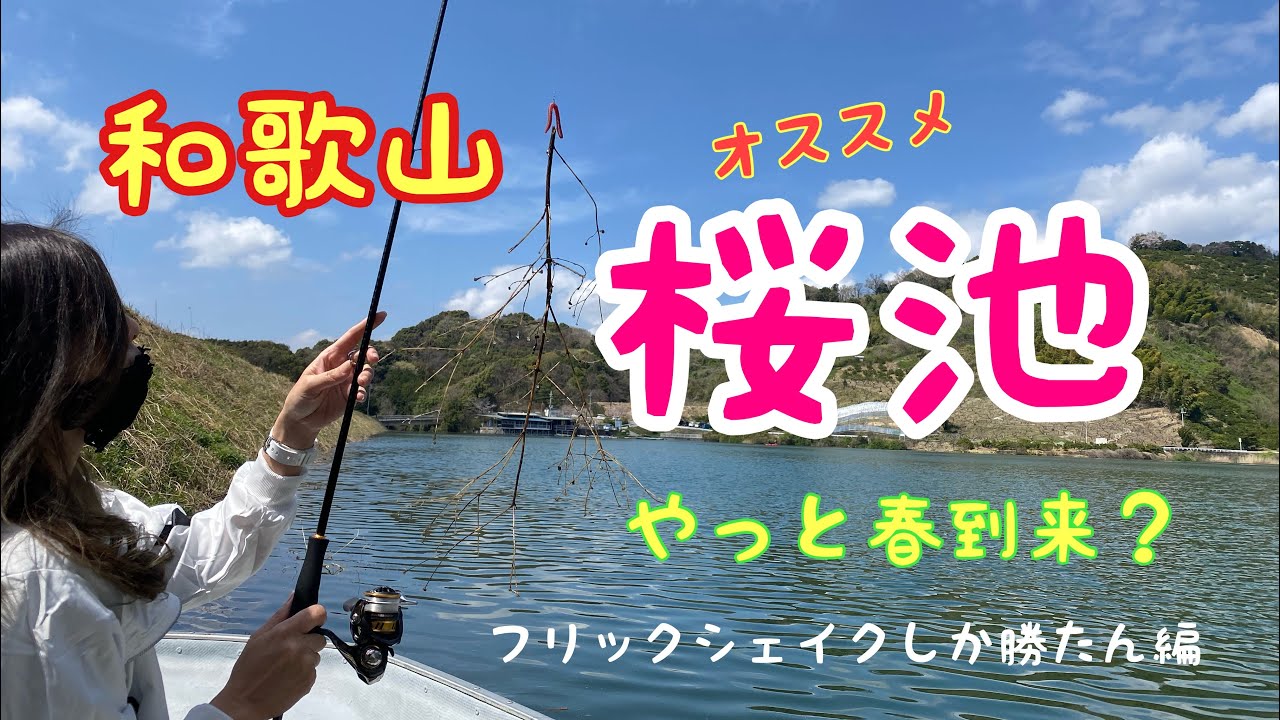 和歌山県　桜池　桜咲いて春到来？