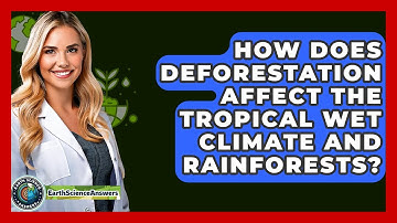 How Does Deforestation Affect The Tropical Wet Climate And Rainforests? - Earth Science Answers