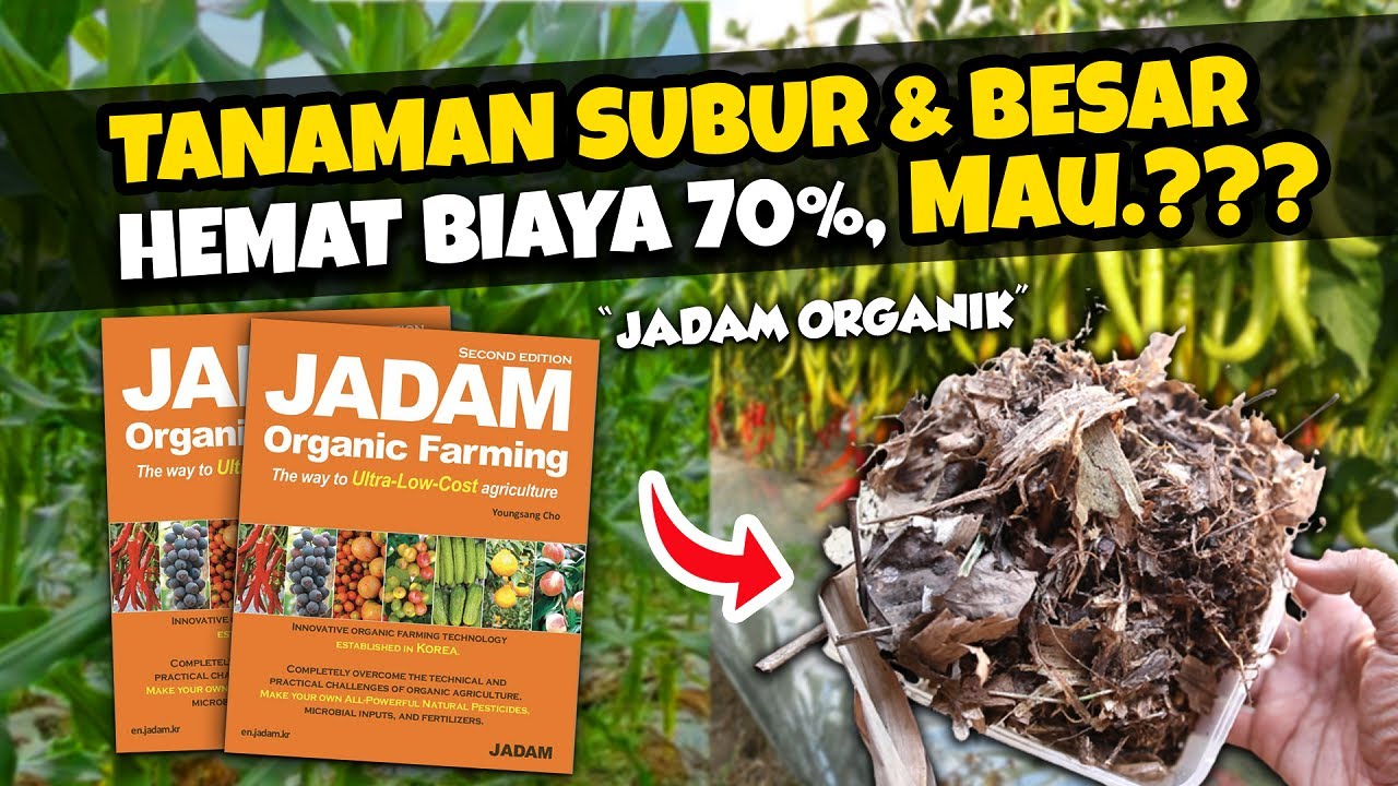TANAMAN SUBUR, BESAR BESAR & HEMAT BIAYA PUPUK 70%, MAU.? | PENJELASAN 
