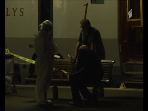 სროლა ამსტერდამიდან პარიზში მიმავალ ჩქაროსნულ მატარებელში