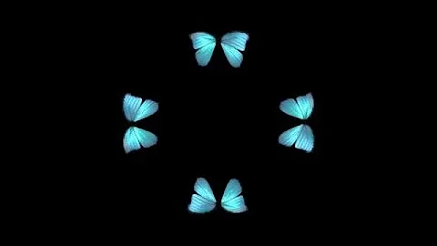 Butterfly Hologram Video HD Extended (4 sided format)