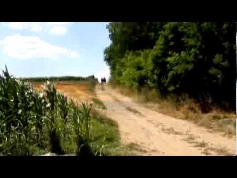 Sin sam zlatnih žitnih polja ~  Slavonski Dukati~  Šokac auf YouTube ansehen Sin sam zlatnih žitnih polja ~  Slavonski Dukati~  Šokac auf YouTube ansehen