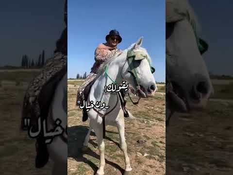 بنت الأصول بنت الأصول و لو بدون رجال