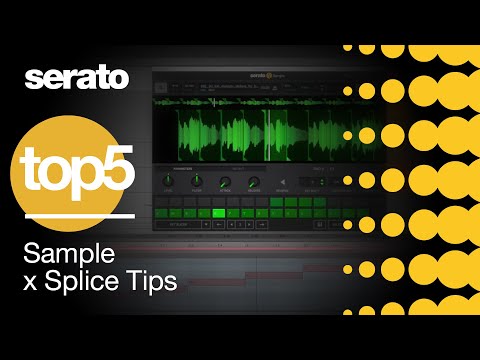 Top 5 | Serato Sample x Splice Tips