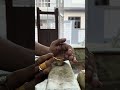 Video Image