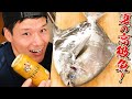 瀬戸内海で１番高い魚が美味すぎる...　究極のマナガツオで作る絶品3品とビールで昇天。