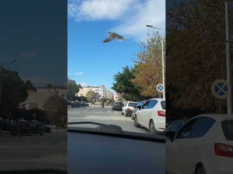 تونس طبرقة رحلة موفقة لي الجميع