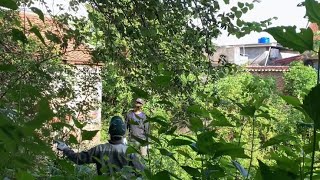 Eyecatching transformation of a house abandoned for 30 years  Cutting down overgrown trees