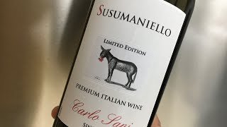 처음 사 본 이태리 와인 Carlo Sani Susumaniello ( feat,VIVINO )