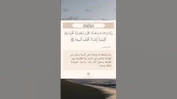 سورة آل عمران أية (١٩٤)