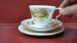 Queen Anne Autumn Leaves China Teacup Saucer and Side Plate 8606
