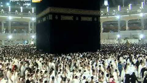 ما تيسر من سورة القصص - عبد الرحمن العوسي Al-Haramien TV