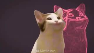 Pop Cat Meme by SOTP TRUSTNG PINGUINO 167 views 3 years ago 18 seconds