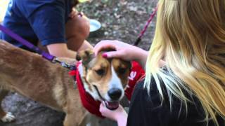 TCU Sigma Nu Saving Hope Foundation Event 2016