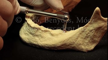 Ankylos training video HD (part 1)