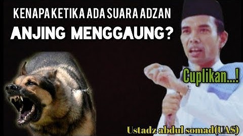 Cuplikan...! USTADZ ABDUL SOMAD// KENAPA SETIAP ADZAN, ANJING SELALU MENGGAUNG?