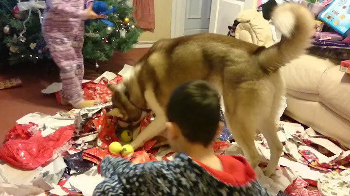 Reiko's first Christmas!