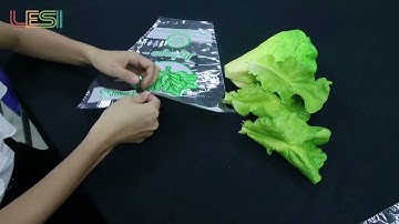 Professional plastic lettuce bag manufacturers
