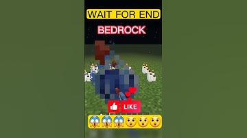 Minecraft Java VS Bedrock 🤯😱 #shorts