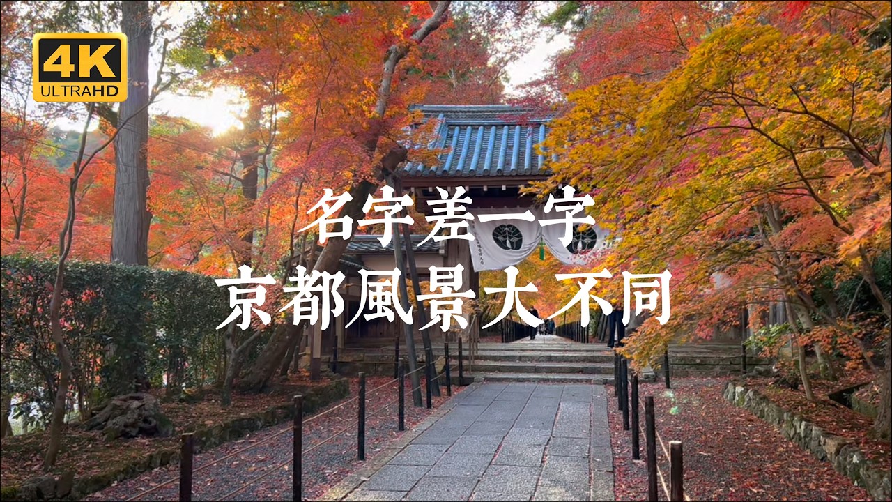 【京都一人旅 EP38】京都六組，名字容易搞混但景色完全不同的寺院｜高台寺vs高山寺、東寺vs東福寺、龍安寺vs天龍寺、光明寺vs金戒光明寺vs光明院、兩個來迎院、妙心寺vs妙滿寺vs妙顯寺