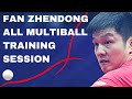 Fan zhendong multiball training with wang hao before 2018 world championships halmstad