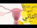 افرازات الحمل في الشهر الثاني | نزول إفرازات بيضاء او حمراء او بنيه او صفراء في الشهر الثاني للحمل