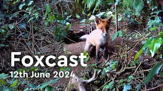 Foxcast | 12th June Highlights