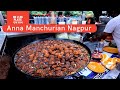 Anna Making 40 Plate Noodles & Manchurian | Tiranga Chowk Manchurian Biryani | Nagpur Street food