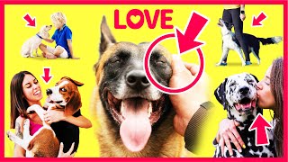 12 Ways to Tell Your Dog You Love Him by Dogs 101 ❤️ I want a dog! 230 views 2 years ago 8 minutes, 34 seconds