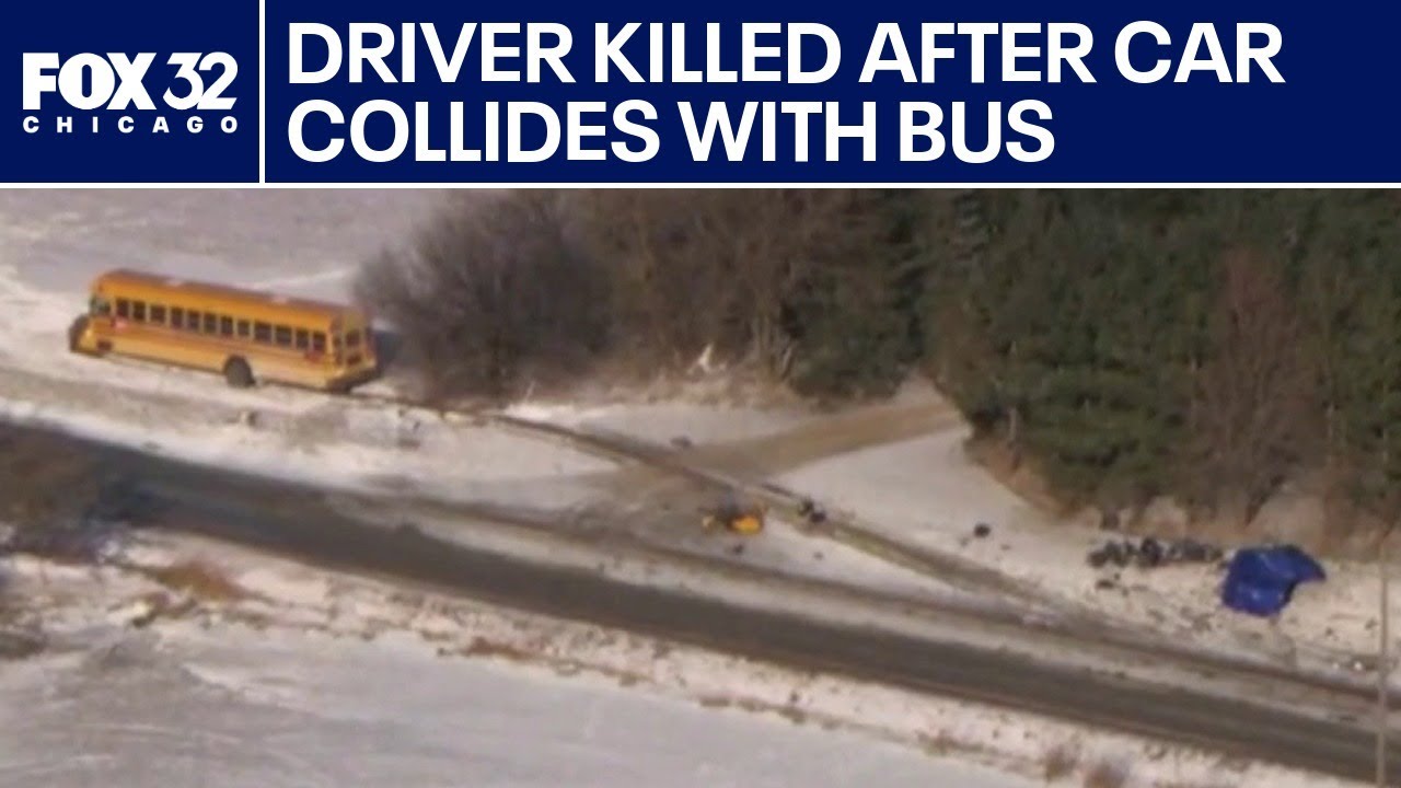 Driver killed after car collides with school bus in Will County - YouTube