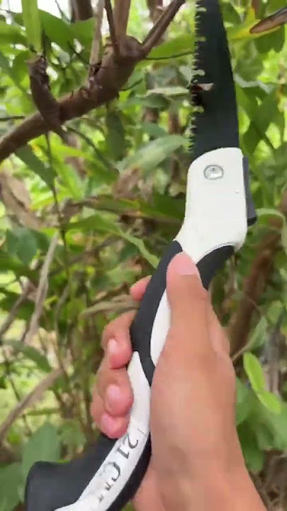 Uji coba gergaji lipat yang viral