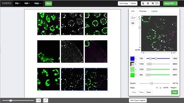 OMERO.figure version 3.2.0