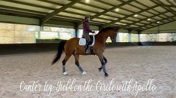 Canter Leg Yield on the Circle with Apollo