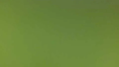 The Chrysalids Chapter 3