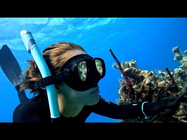 from SEA to TABLE: Spearfishing Dinner on a Sailboat!