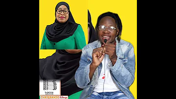 PICHA MPYA YA RAISI SAMIA SULUHU HASSAN 