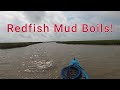 Redfish mud boils