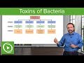 Bacteria Toxins:  Exotoxins, Endotoxins & Membrane-Damaging Toxins – Microbiology | Lecturio