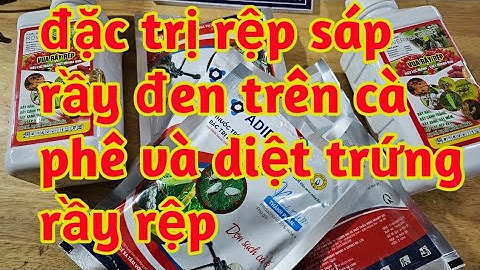 thuốc trừ rầy đen rệp sáp trắng trên cây chùm quả cà phê diệt trứng rầy rệp 023 208