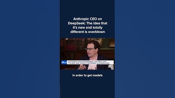 Anthropic CEO on DeepSeek: The idea that it