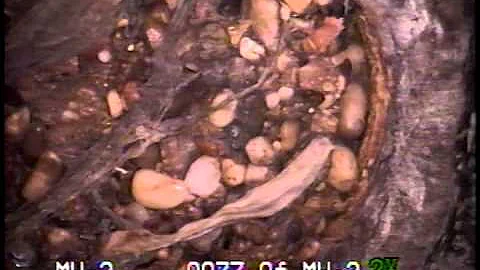 37-14 36th St - Sewer Video VTS 01 1