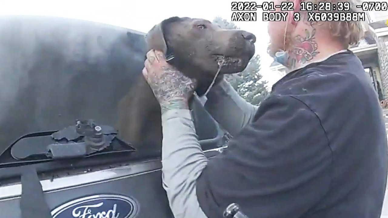 Dog Rescued From Burning Car Thanks Cop With Kisses