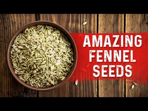 Fennel Seeds Benefits for Stomach Bloating and Cramping – Bloating Stomach Remedies –