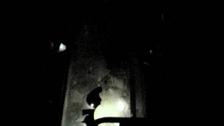 Alien Encounter (nightvision) at Walt Disney World