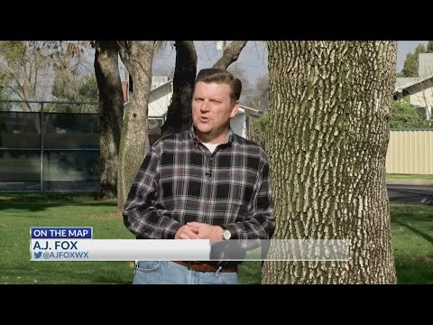 On The Map: Fowler
