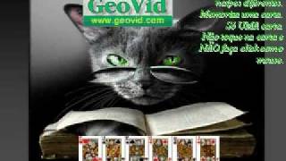 Copiloto Gato Maluco