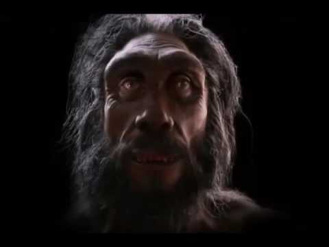 Animasi Teori Evolusi Manusia Menurut Charles Darwin - YouTube