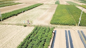 Sông Vu gia- Ái Nghĩa